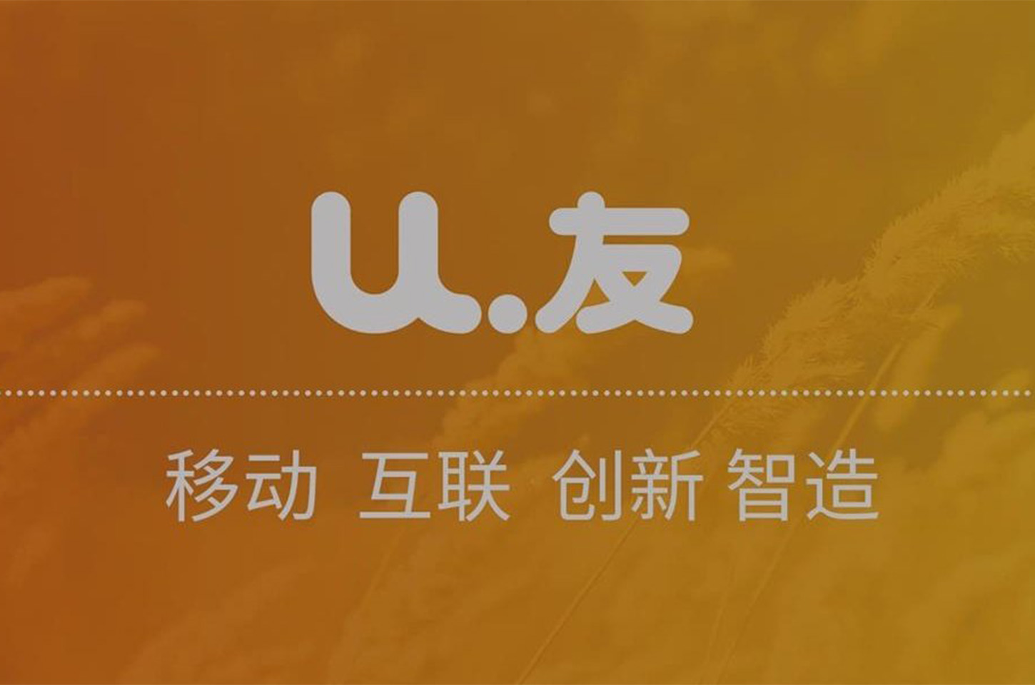 深圳市优友互联股份有限公司