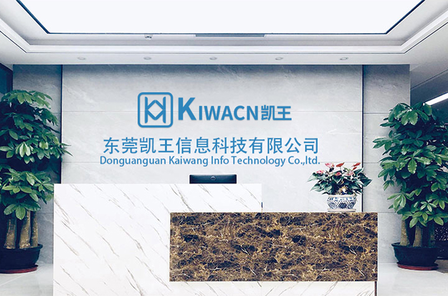 东莞凯王信息科技有限公司